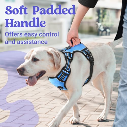 rabbitgoo Dog Harness Medium Sized, No Pull Pet Harness with Soft Padded Handle, Adjustable Reflective Vest with 3 Buckles, Easy Walking Harness with 2 Leash Clips, Light Blue, M - color: Light Blue, size: Medium