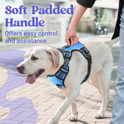 rabbitgoo Dog Harness Medium Sized, No Pull Pet Harness with Soft Padded Handle, Adjustable Reflective Vest with 3 Buckles, Easy Walking Harness with 2 Leash Clips, Light Blue, M - color: Light Blue, size: Medium