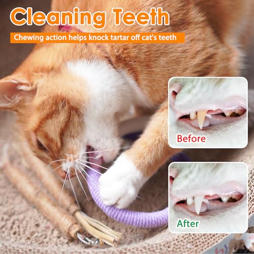Silvervine Sticks for Cats & Cat Chew Rope - 8Pcs Natural Cat Chew Toy Teeth Cleaning for Bored Indoor Adult Cats, Matatabi Dental Care Kitten Treat Teething Toys, Silver Vine Cat Chew Stick - style: Cat Toys Silvervine Ropes