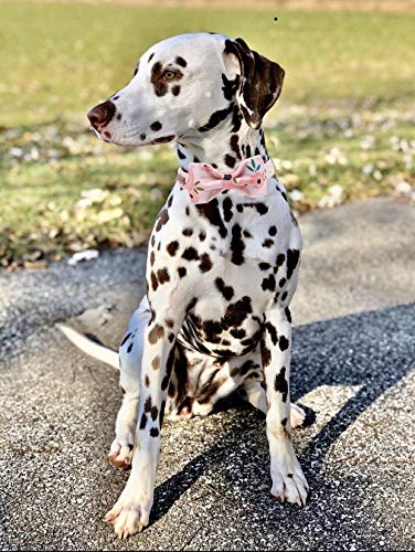 Elegant little tail Dog Collar with Bow, Comfotable Dog Bowtie, Bowtie Dog Collar Adjustable Dog Collars for Small Medium Large Dogs and Cats - color: pink flower, size: X-Small (Pack of 1)