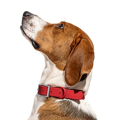 Wild One Dog Collar, Easy-Clean, All Weather Flex-Poly Strap with Metal, Durable, Dirt and Odor Resistant (Strawberry, M) - color: Strawberry, size: M