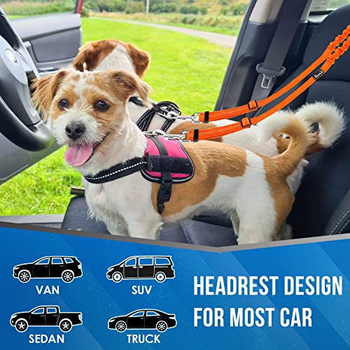 Lukovee Double Dog Seat Belt, New Dual Pet Car Headrest Restraint Safety Seatbelt No Tangle Dog Leash Duty Adjust Elastic Bungee Puppy Lead Splitter Connect Harness in Vehicle Travel for 2 Dogs (OR) - color: Orange