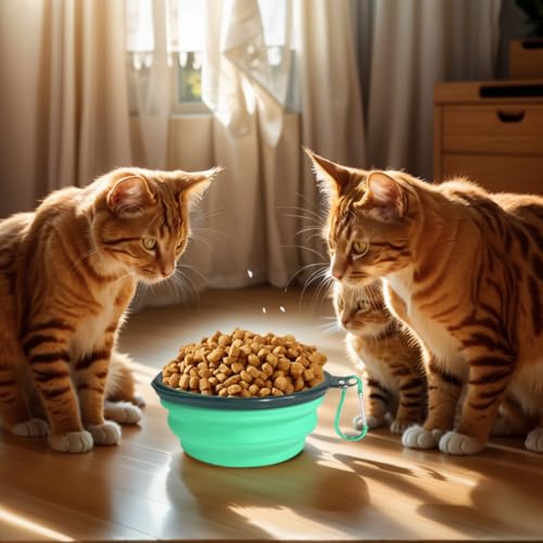 1pc Collapsible Pet Bowls，Portable Cat and Dog Travel Feeding & Drinking Bowls，with Carabiner，for Walking, Hiking, and Travel (Green)