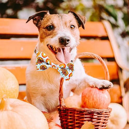 Thanksgiving Dog Collar with Bow Tie,Turkey and Rainbow Pattern Holiday Pet Collar Set for Small Medium Large Dogs, Adjustable Festive Fall Puppies - color: Thanksgiving Turkey, size: Medium-(12.5-20") Neck * 3/4" Wide