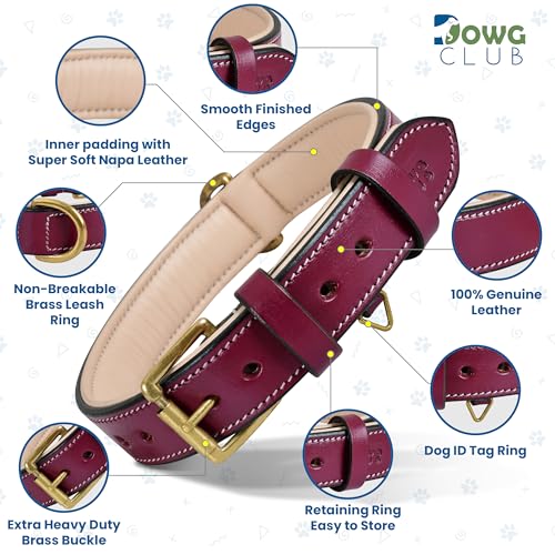 Genuine Leather Dog Collar – 1" Wide Full Grain, Padded, Heavy Duty with Brass Buckle for Small, Medium, Large, XL Dogs (Medium (Fit Neck Size 14.5"-18.5"), Dark Pink) - color: Dark Pink, size: M (Fit Neck Size 14.5"-18.5")