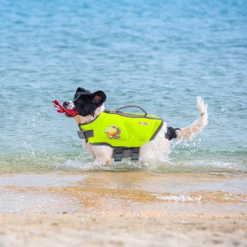 Dog Life Jacket - Small Dog Flotation Vest with Reflective Stripes and Rescue Handle - color: Green, size: Small