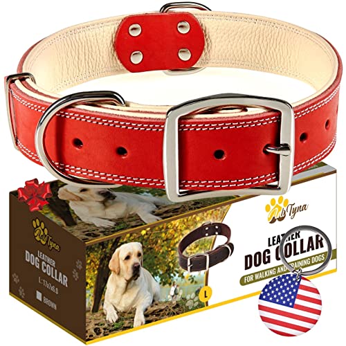 ADITYNA Heavy-Duty Leather Dog Collar for Large Dogs - Soft Padded for Comfort - Red Dog Collar for Walking, Training, and Hiking - color: Red, size: Large: Fit 17-23" Neck