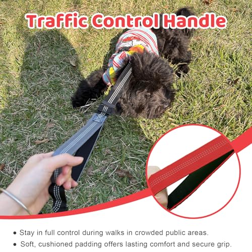 Double Dog Leash - No Tangle Splitter for Two Dogs, Coupler with Adjustable Long Lead Rope, Dual Control Handles, Retractable No Pull Bungee, Walk Train Small Medium Large 2 Pets (Red) - color: Red