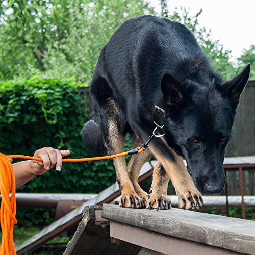 Rope Pro Training Dog Collar Braided No Pull Quick Release Round Lead Collars for Dogs Small Medium Large Puppy (30 FT Leash, Neon Orange) - color: Neon Orange