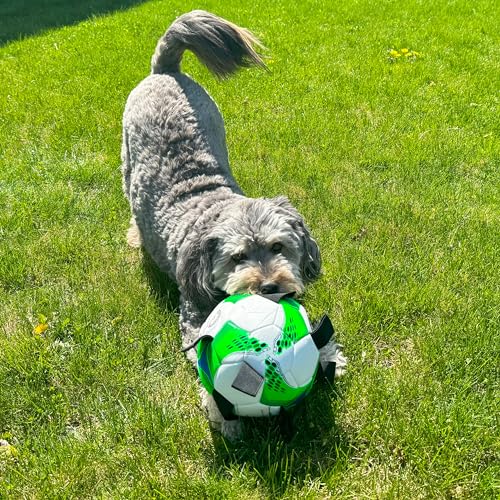 SPOT Dog Soccer Ball with E-Z Tabs - Interactive Fetch and Tug Dog Toy with Heavy Duty Nylon Straps for Carrying, Tossing, and Tugging, Floats in Water, 9in Sports Ball with Air Pump Included