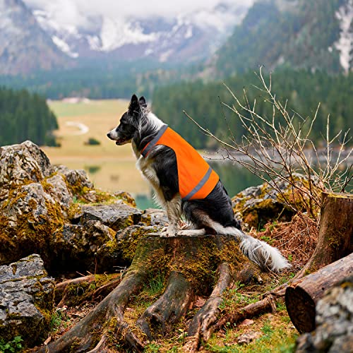 Blaze Orange Dog Hunting Vest - Reflective Safety Gear Orange Dog Shirt for Outdoor Dogs or Night Walking - size: L