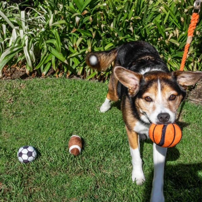 Glow Pups Sports Balls, Dog Toy with Squeakers, 3 Pack: Football, Soccer, Basketball - style: 3 Pack: Football, Soccer and Basketball