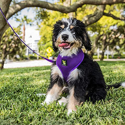 EcoBark Dog Harness - Eco-Friendly Max Comfort Harnesses - Luxurious Soft Mesh Halter - Over the Head Harness Vest- No Pull and No Choke for Puppy, Small Breeds & Medium Dogs (Large, Purple) - color: Purple