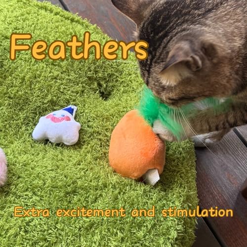 CECE PAW 4 Pack Cat Carrot Feather Toy, Catnip Refillable Toys, Cat Kicker Toy with Treat Pockets and 6 Catnip Pouches - color: Carrot Toy + Catnip, size: Cat