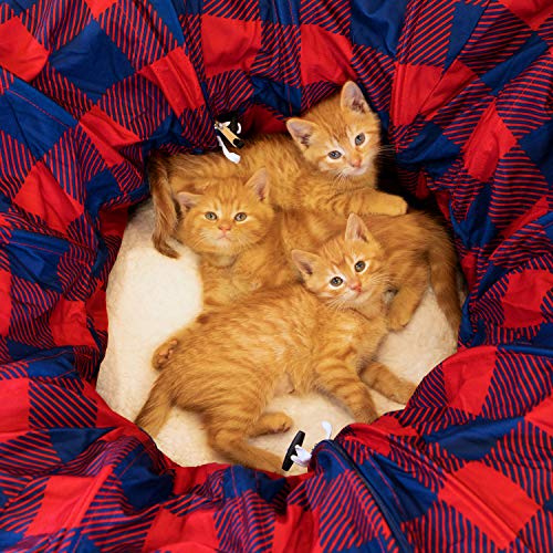 Plaid Tunnel Bed - color: Plaid