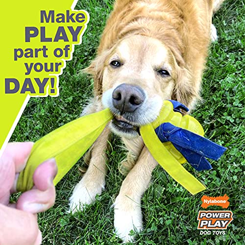 Nylabone Power Play Felt Football Gripz Fetch Toy, Squeaky Ball Chew Toy for Dogs, Large (1 Count) (Pack of 5) - size: Large (Pack of 5)