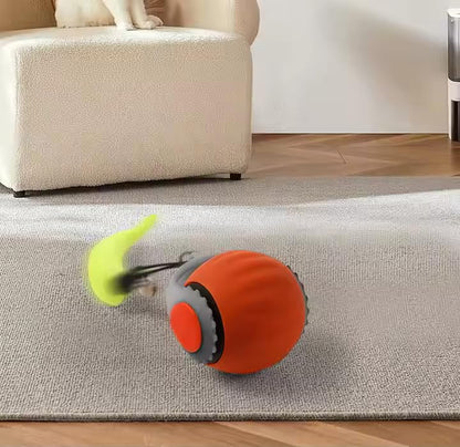 Interactive Cat Toy Ball - Automatic Rolling Rechargeable Cat Toy, Chasing Ball for Indoor Cats & Kittens, Feather Tail, Self-Moving Toy, Fast & Slow Speed (Blue)