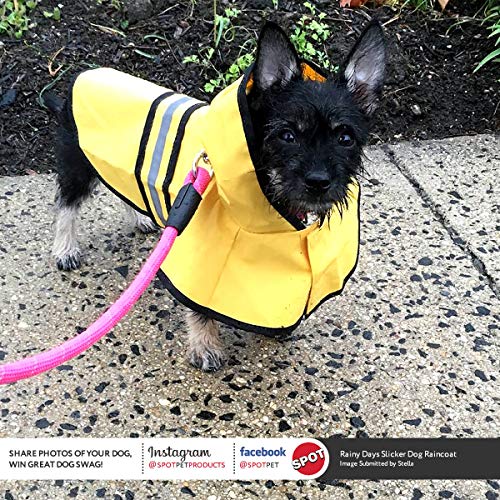 SPOT Rainy Days Slicker - Yellow Dog Rain Jacket With Hood, Reflective Strip for Safety, Leash Hole & Adjustable Velcro Belly Strap, 100% Polyester Water Resistant Pet Raincoat - Small, 9in Long - size: Small