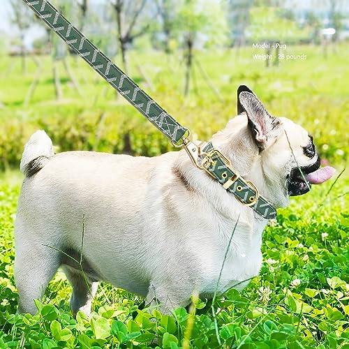 Leather Dog Collar and Leash Set, Check Pattern Dog Collar Leashes Metal Buckle Adjustable Durable for Small Medium Large Dogs (Green, S(11.4-13.4IN)) - color: Green, size: S(11.4-13.4IN)
