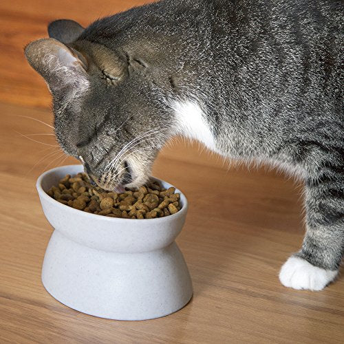 Kitty City Elevated Cat Bowls (Set of 2), Whisker-Friendly Raised Cat Food & Water Dishes, Modern Pedestal Design, Dishwasher Safe, 6.5 oz Each – White & Gray - size: Small