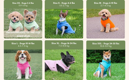 JACKO & CO - Fleece Vest Dog Sweater with Leash Ring - Soft, Warm & Lightweight Pullover Coat for Small & Medium Dogs, Puppies & Cats - Cozy Fall/Winter/Spring Pet Jacket (Mint Green, Small 4-6lbs) - color: Mint Green, size: S (4-6lbs)