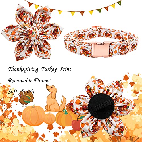 Dog Collar with Flower - Thanksgiving Turkey Print Pet Collar Cute Puppy Collar Pet Flower Adjustable Collars for X-Small Dogs - color: Turkey, size: X-Small (Pack of 1)