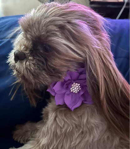 Rhinestone Bling Leather Dog Collar and Leash Set, Cute Dazzling Sparkling Soft Velvet Dog Cat Collar Crystal Diamond Puppy Collar (XS, Purple) - color: Purple, size: XS