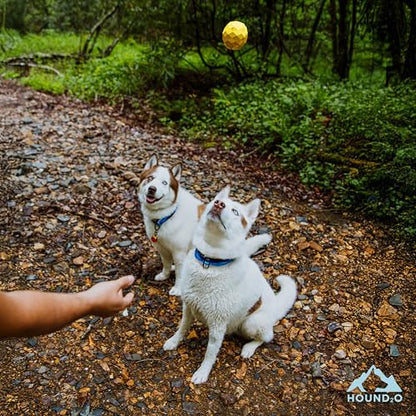 Dog Toys | Squeaky Fetch Balls for Dogs, Value 3-Pack | Bright Color Outdoor Dog Ball with Squeaker - color: 3-Pack