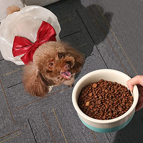 Sweejar Ceramic Dog Bowls, Dog Food Dish for Large Dogs and Cat, Heavy Duty Porcelain Pet Bowl for Canned Food and Water 78 Fl Oz （Fog Blue） - color: Fog Blue, style: Two-tone,9"x 3.1"(70 Fl Oz)