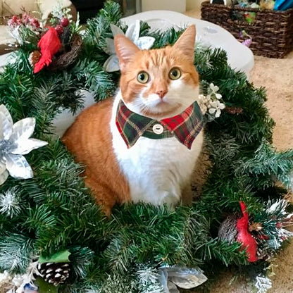 ADOGGYGO Christmas Cat Collars Breakaway with Bow Bell, 2 Pack Stylish Red Green Plaid Xmas Kitten Collar with Removable Shirt Collar, Plaid Christmas Collars for Cats Kittens - color: Christmas-3