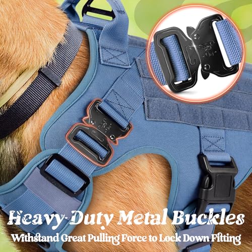 rabbitgoo Tactical Dog Harness Medium Sized, Heavy Duty Pet Harness with Handle, No-Pull Service Vest Medium Breed, Adjustable Military Dog Vest for Training Hunting Walking, Blue, M - color: Blue, size: Medium