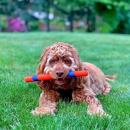 Chuckit! Ultra Fetch Stick Dog Toy Interactive Outdoor Toy for All Breed Sizes - 12 Inch