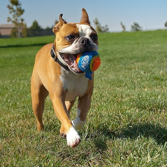 Nerf Dog Tennis Ball Blaster Dog Toy Gift Set, Tennis Ball Dog Fetch Toy Launches up to 50 ft, Dog Ball Thrower for All Breeds Includes Green Tennis Ball Launcher and 3 Dog Tennis Balls - size: 16 in Compact Blaster with 3 Balls