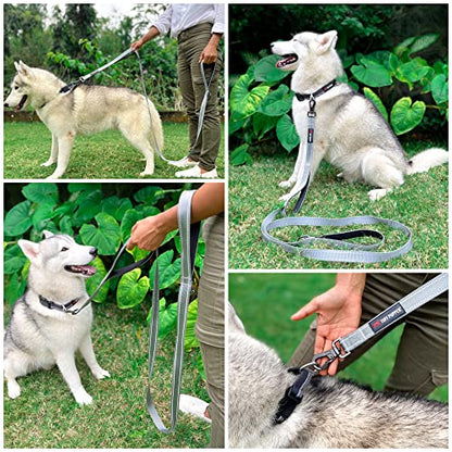 Tuff Pupper Heavy Duty Double Handle Leash | Twist Locking Carabiner Clip | Safety Lock for Strong Dogs | Reflective for Safe Night Walks | 6 Foot Leash | For Medium & Large Dogs - color: Steel Grey