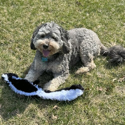 SPOT Skinneeez Skunk 23-Inch Stuffing-Free Plush Dog Toy – Realistic Design with 2 Squeakers – Durable, Soft Polyester for Medium & Large Dogs – Tug, Fetch & Shake Play – for Moderate Chewers - style: Skunk