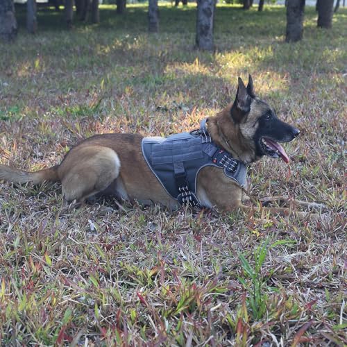 ICEFANG Tactical Dog Harness, Large Size,2X Metal Buckle,Working Dog MOLLE Vest with Handle,No Pulling Front Leash Clip,Hook and Loop Panel (Grey,L (Pack of 1)) - color: Grey, size: Large (Pack of 1)