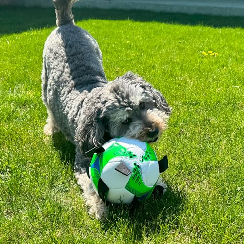 SPOT Dog Soccer Ball with E-Z Tabs - Interactive Fetch and Tug Dog Toy with Heavy Duty Nylon Straps for Carrying, Tossing, and Tugging, Floats in Water, 9in Sports Ball with Air Pump Included