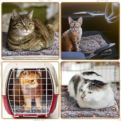 Tuanse 4 Pack Ultra Soft Dog Cat Bed Mat Small Animal Guinea Pig Bed with Cute Print Reversible Fleece Dog Crate Kennel Pad Cozy Washable Thickened Hamster Pet Beds Mat(13 x 19 Inches,Gray) - color: Gray, size: 13 x 19 Inches