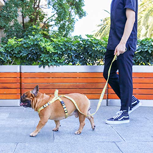 iChoue French Bulldog Harness Adjustable Locked Buckle with Handle for Frenchie Pug English Boston Terrier Dogs, Yellow, Small - color: A Harness Yellow, size: Small ( 5 - 25 lbs )