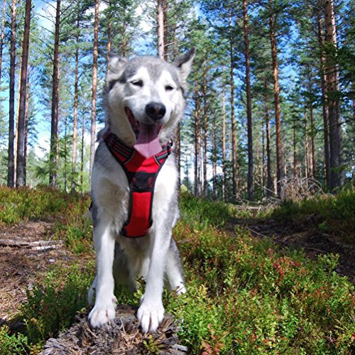 SGODA Dog Harness Reflective Vest with Handle X-Large Red - color: Red, size: X-Large Chest 32-42"