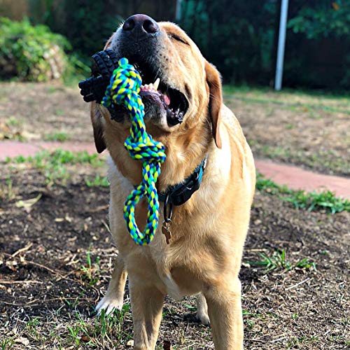 Pet Qwerks X-Tire Ball Dog Toys - Tug & Toss Interactive Chew Toy - Small - size: Small, style: Tug&Toss