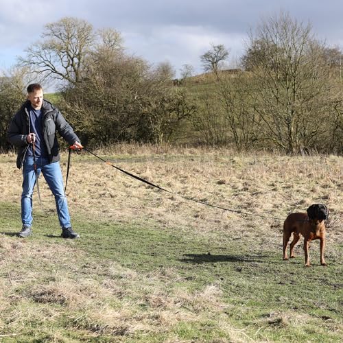 50ft Long Leash for Dogs - Long Line Dog Leash for Training Recall/Commands at Distance - Nylon, Heavy Duty - Ideal for Large & Small Breeds - size: 50ft