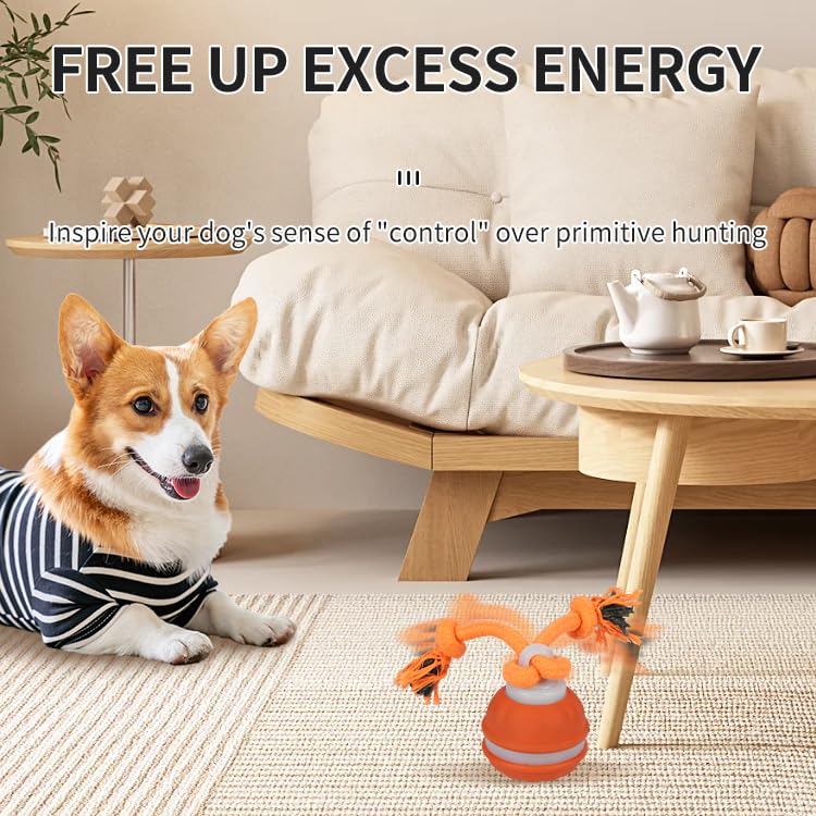 Interactive Dog Toys Dog Ball,Automatic Rolling and Bouncing Moving Dog Toy,Squeaky Rolling Balls with Flashing Light,USB Rechargeable Chew Toys for Puppy Small Dogs, Pet Ball to Keep Them Busy - color: Blue
