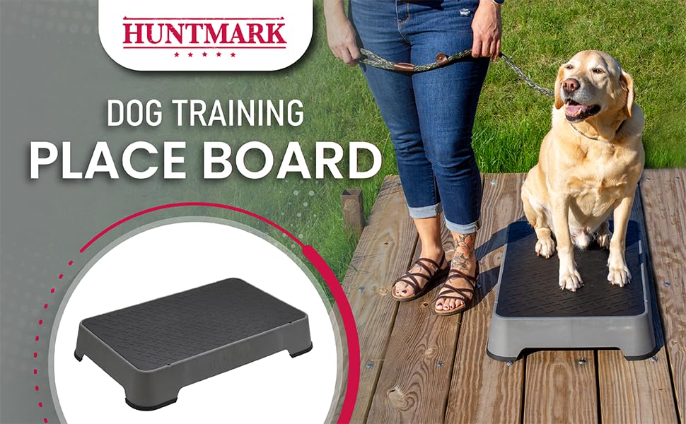 HUNTMARK Dog Training Place Board - Durable Hunting Dog Training Platform - Non-Skid Surface and Nonslip Feet - Stackable, Portable Agility Platform - Modern Puppy Trainer Equipment (Gray) - color: Gray