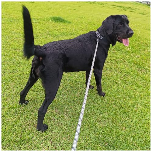 Long Dog Leash, 10/15/20/30/50FT Dog Training Leash with Soft Handle, Reflective Heavy Duty Rope Dog Lead for Medium Large Dogs Outside Play, Camping (3/8" x 30ft, Black) - color: Black, size: 30ft x 3/8inch