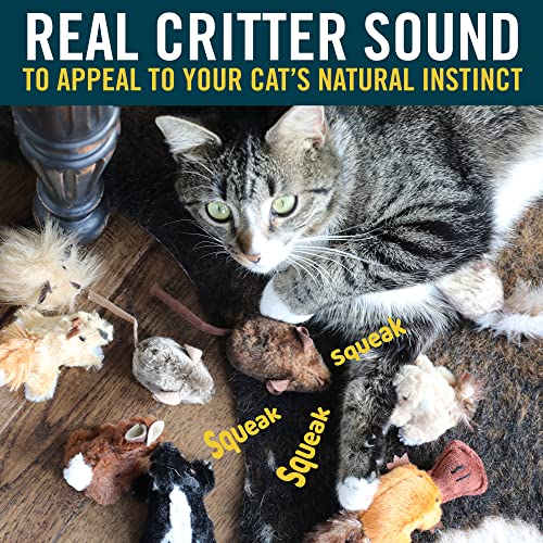 OurPets Play-N-Squeak Mouse Hunter Cat Toys (Interactive Cat Toy & Catnip Toy with Real Mouse Electronic Sound) Perfect Toys for Indoor Cats with Catnip - style: Mouse Hunter (Pack of 1)
