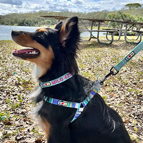 Pawtitas Reflective Dog Collar - Personalized Name & Phone Number, Adjustable for Small Dogs & Puppies - Purple - color: Customized Purple, size: X-Small (Pack of 1)