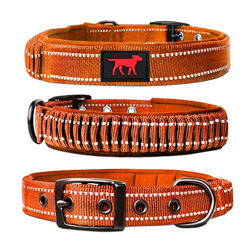 Tuff Pupper Heavy Duty Dog Collar with Handle | Ballistic Nylon Heavy Duty Collar | Padded Reflective Dog Collar with Adjustable Stainless Steel Hardware | Convenient Sizing for All Breeds - color: Orange, size: Small (11 - 14" Neck)