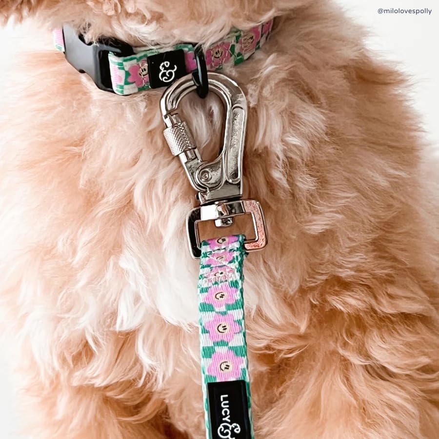 Lucy & Co. Dog Collar - Durable Lightweight Designer Collar for Pets - Adjustable Metal Safety Buckel. - Small - Green Pink Smiley - color: Just Chill, size: Small