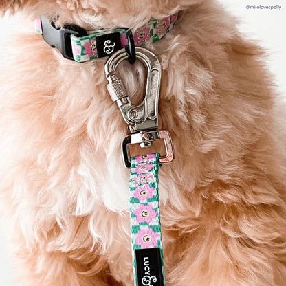 Lucy & Co. Dog Collar - Durable Lightweight Designer Collar for Pets - Adjustable Metal Safety Buckel. - Small - Green Pink Smiley - color: Just Chill, size: Small